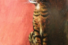 gattino2W