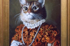 gatto Moroni ok