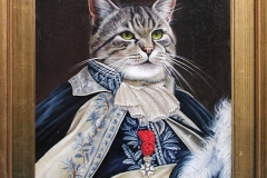 gatto napo