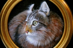 gatto-tondo per sito