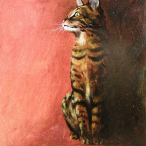 gattino2W