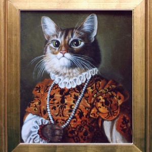 gatto Moroni ok