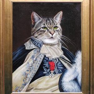 gatto napo