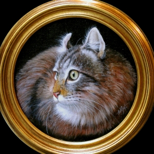 gatto-tondo per sito